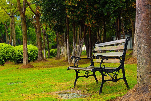 Garden Seating